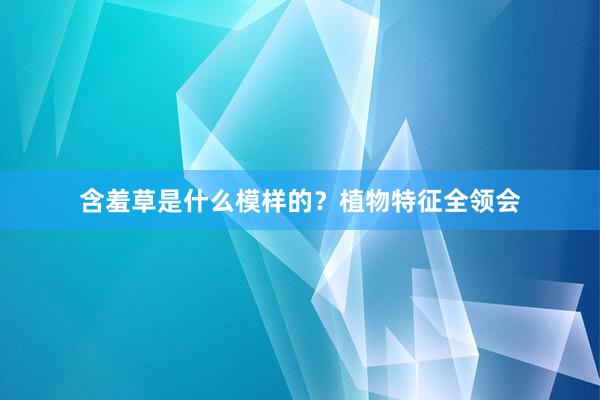 含羞草是什么模样的？植物特征全领会