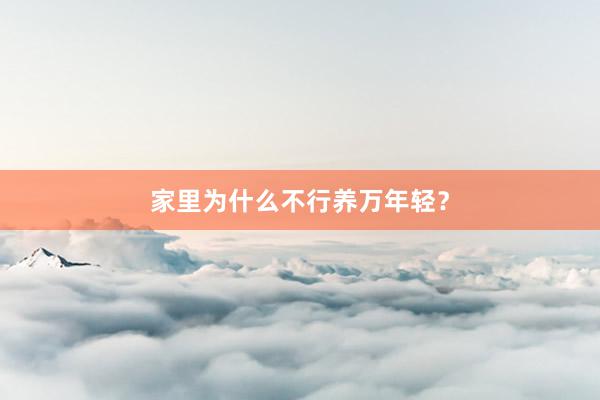 家里为什么不行养万年轻?