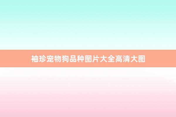 袖珍宠物狗品种图片大全高清大图